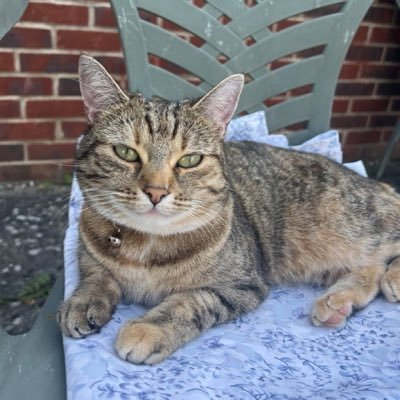 TH789 🇲🇽💫 tweet media