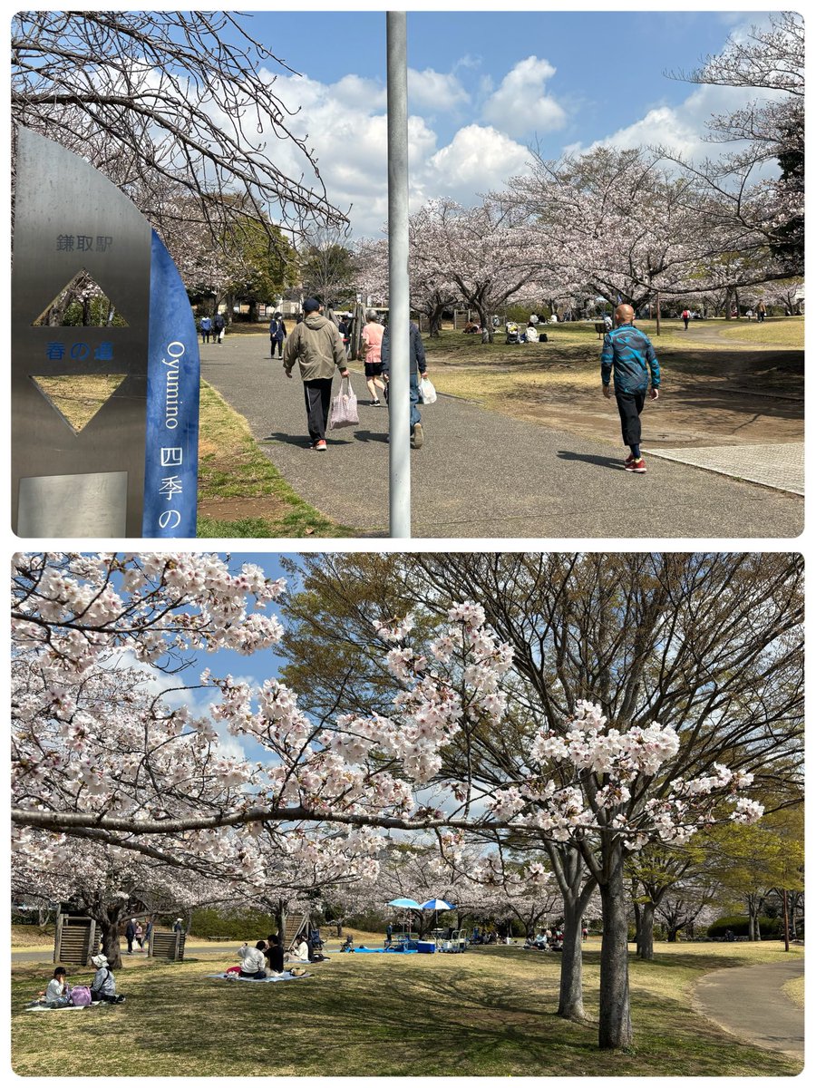 じっちゃん tweet media