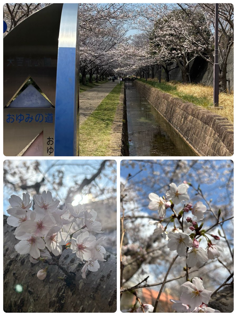 じっちゃん tweet media