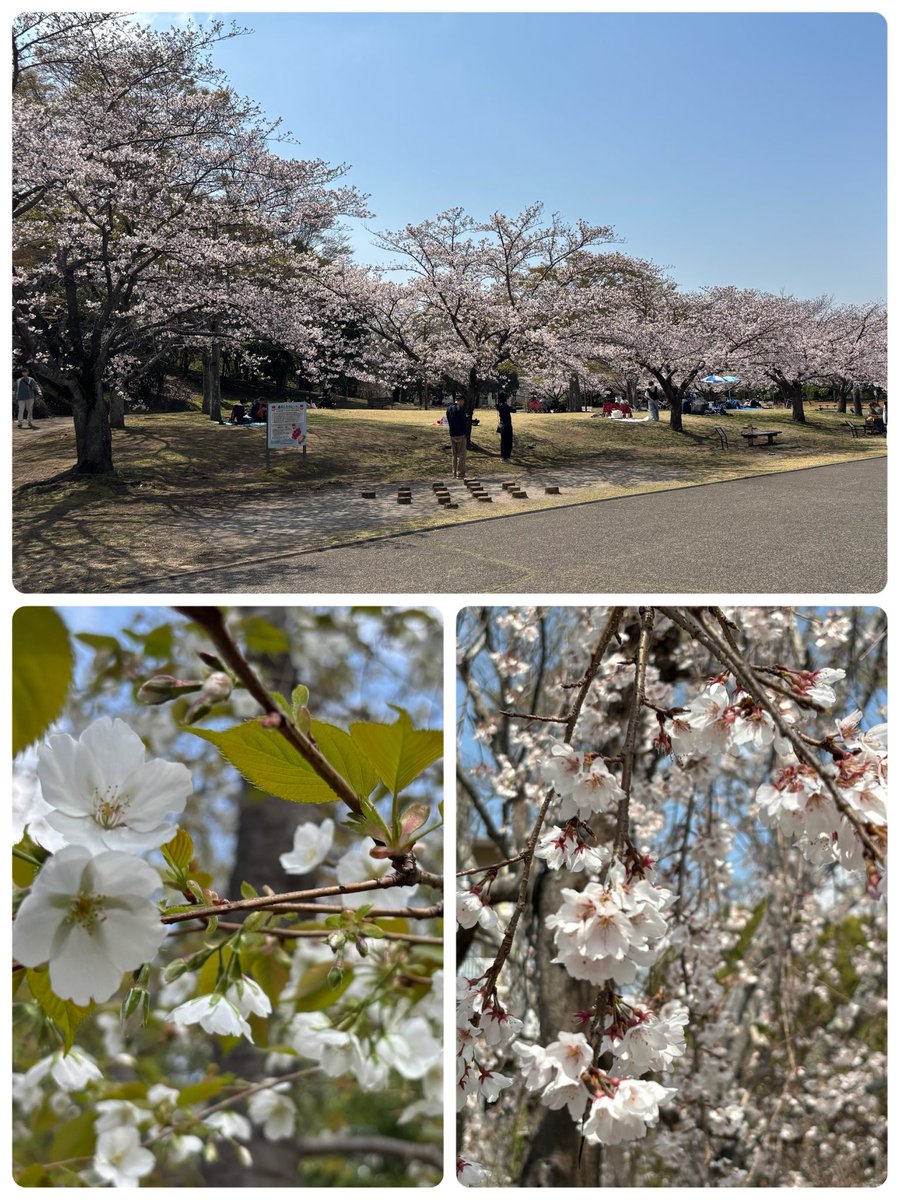 じっちゃん tweet media