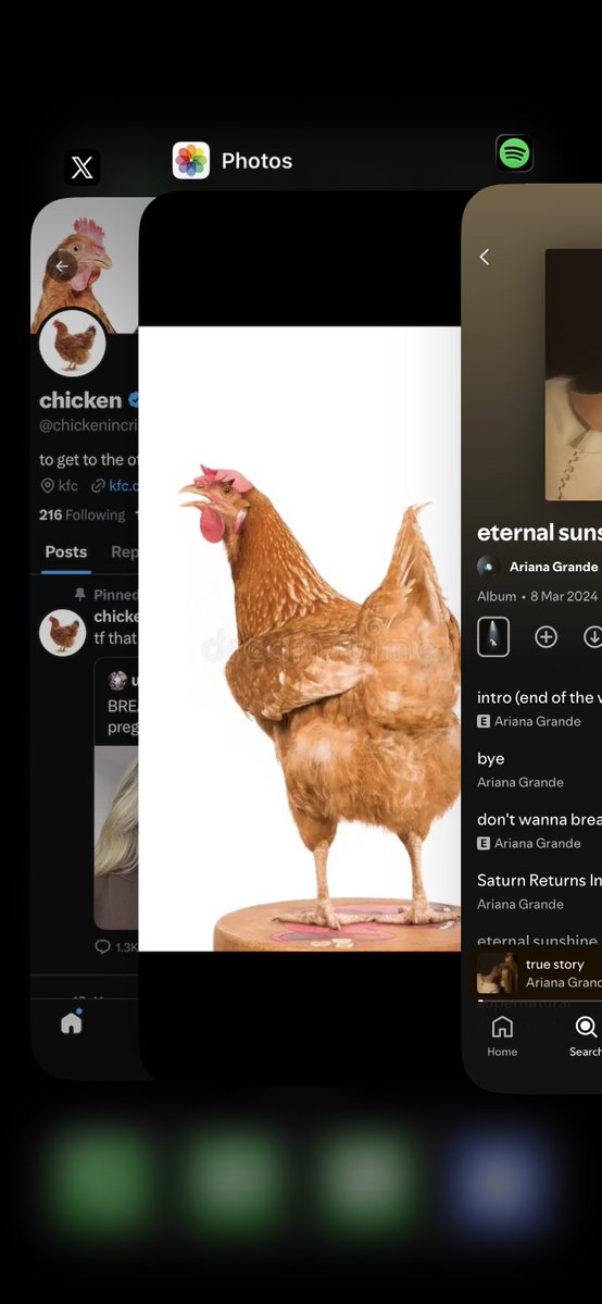 chicken tweet media