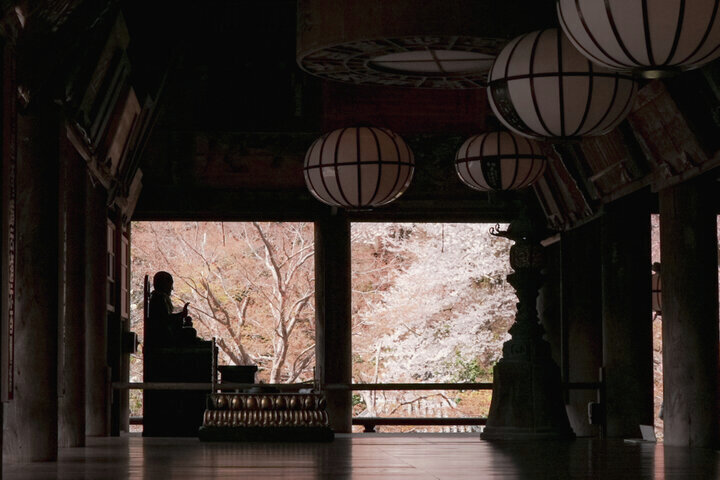 ことりっぷ tweet media