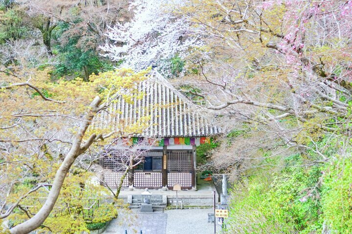 ことりっぷ tweet media