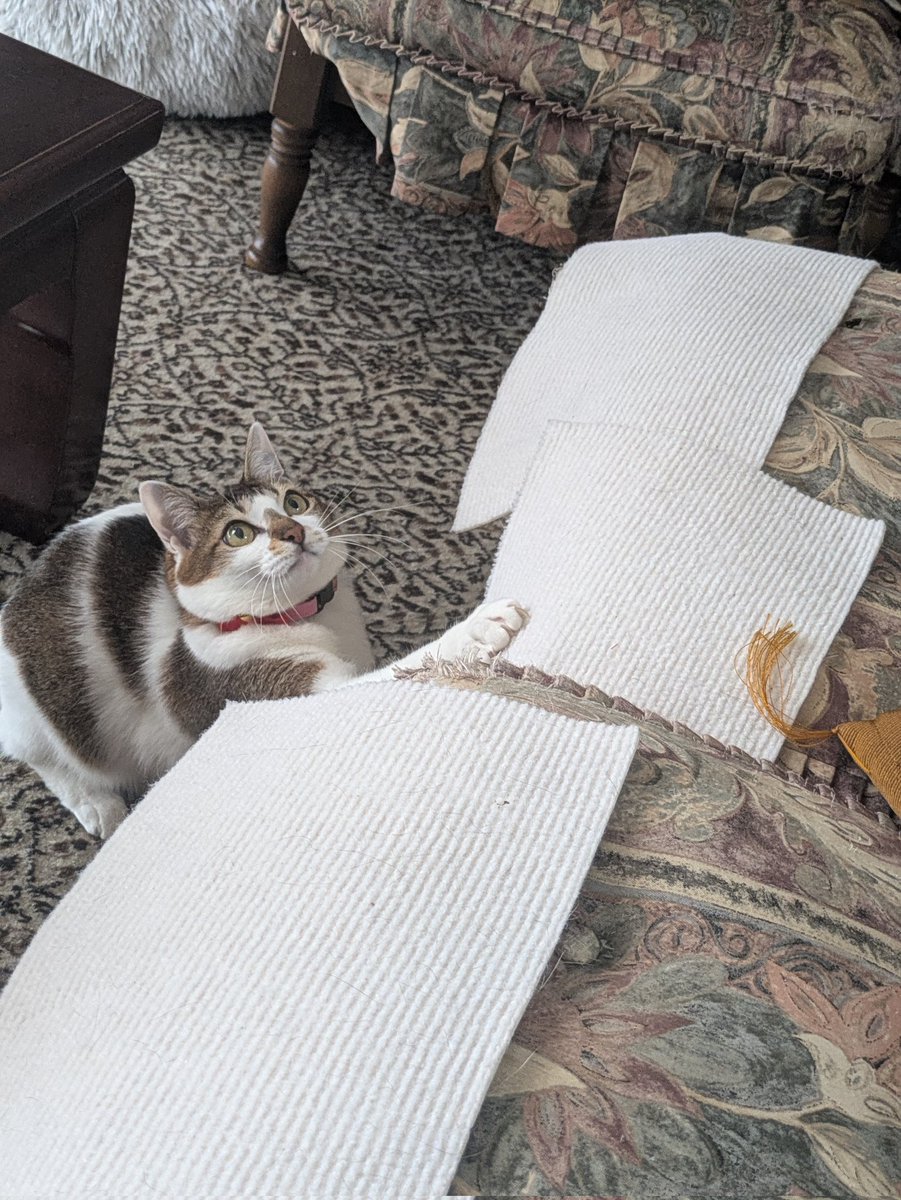 ⚡️⭕️ tweet media