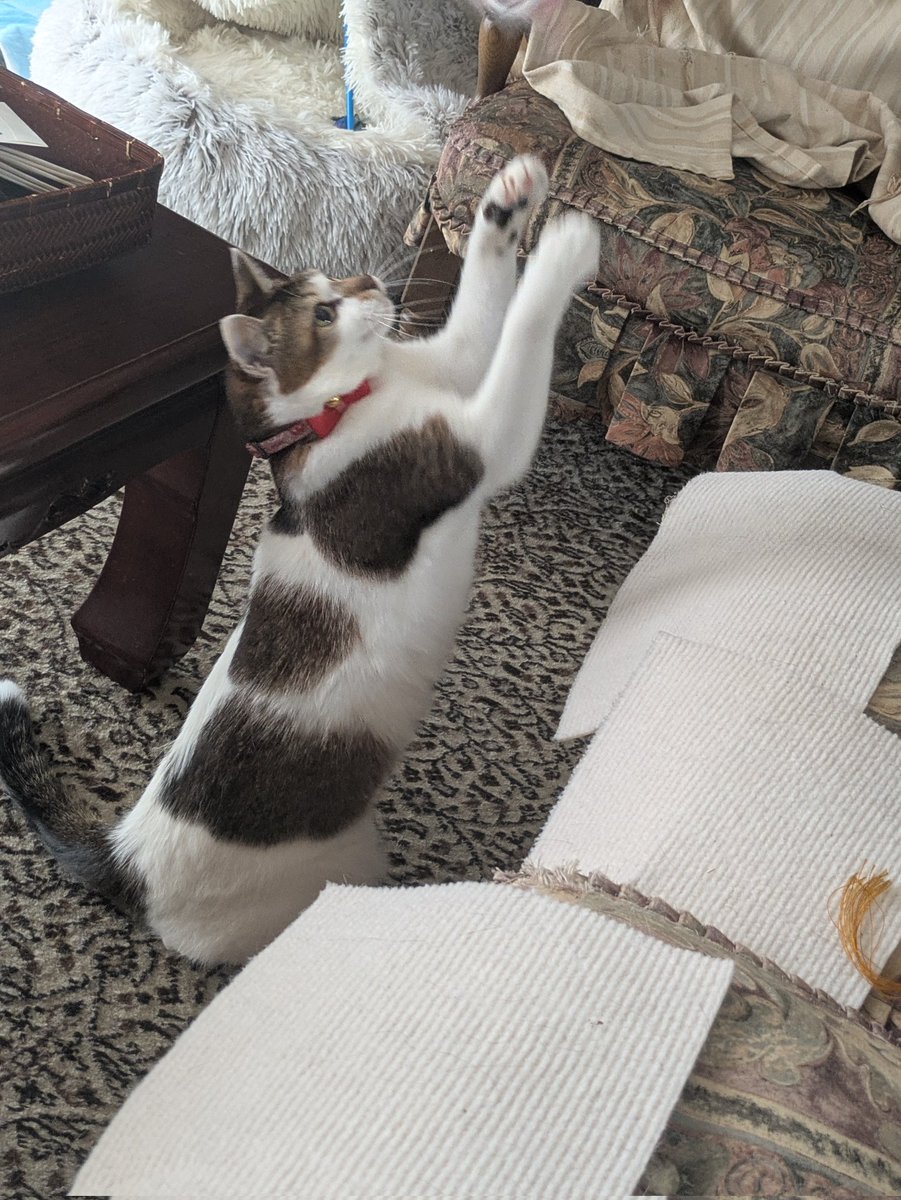 ⚡️⭕️ tweet media