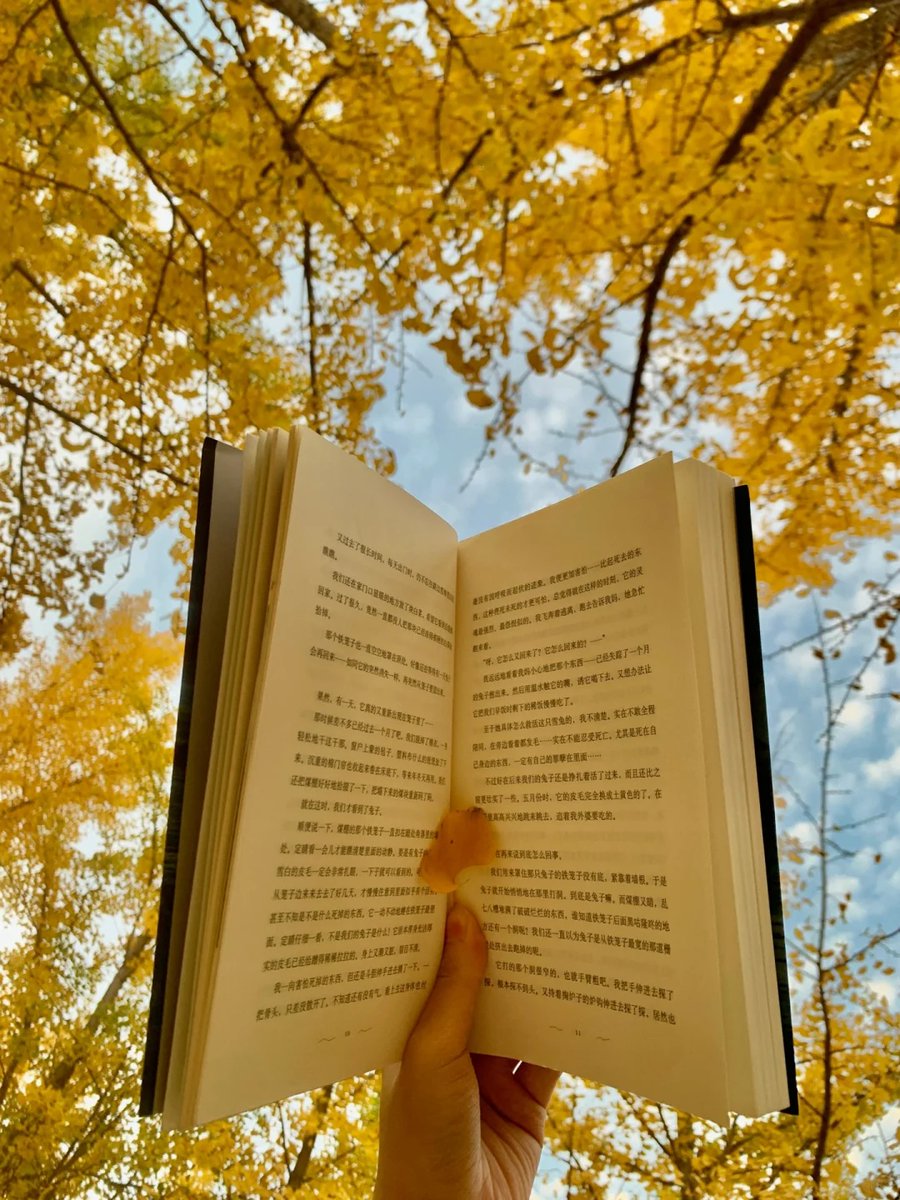 Leo Horsfield tweet media