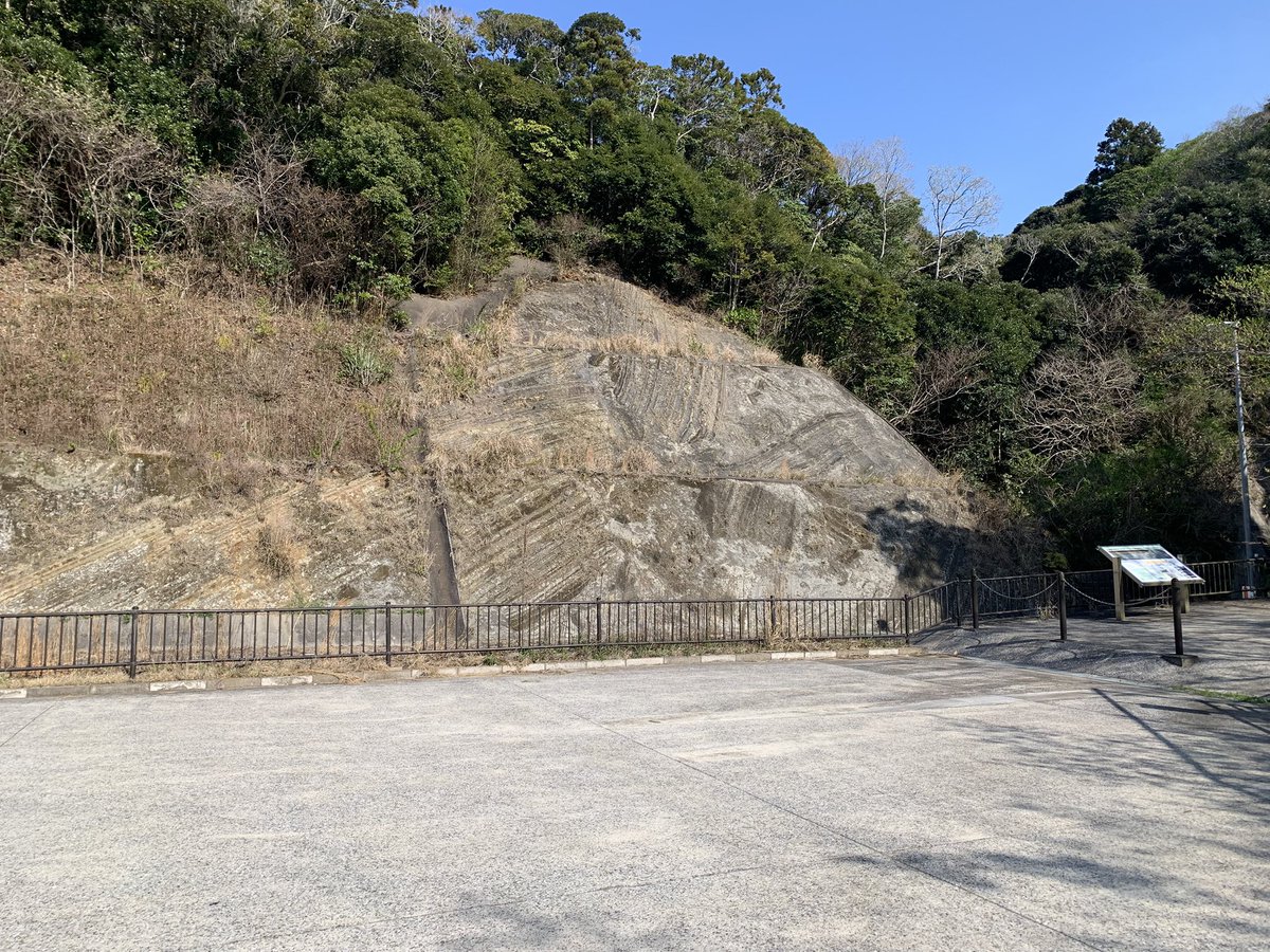 稲なんとか tweet media