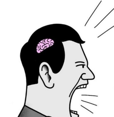 🐈‍⬛ tweet media