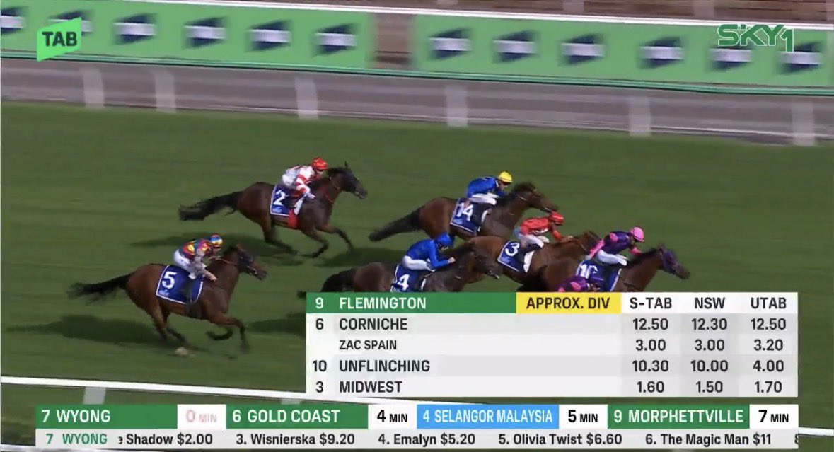 Aussie Punting Battlers tweet media