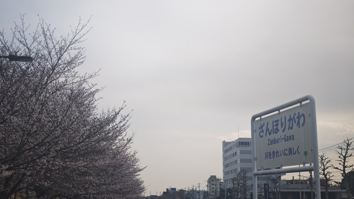 ろぼこーん tweet media