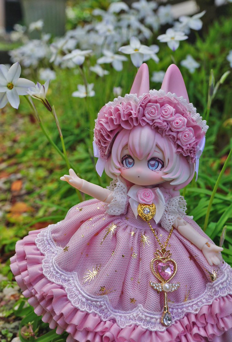 恋鞠堂 tweet media