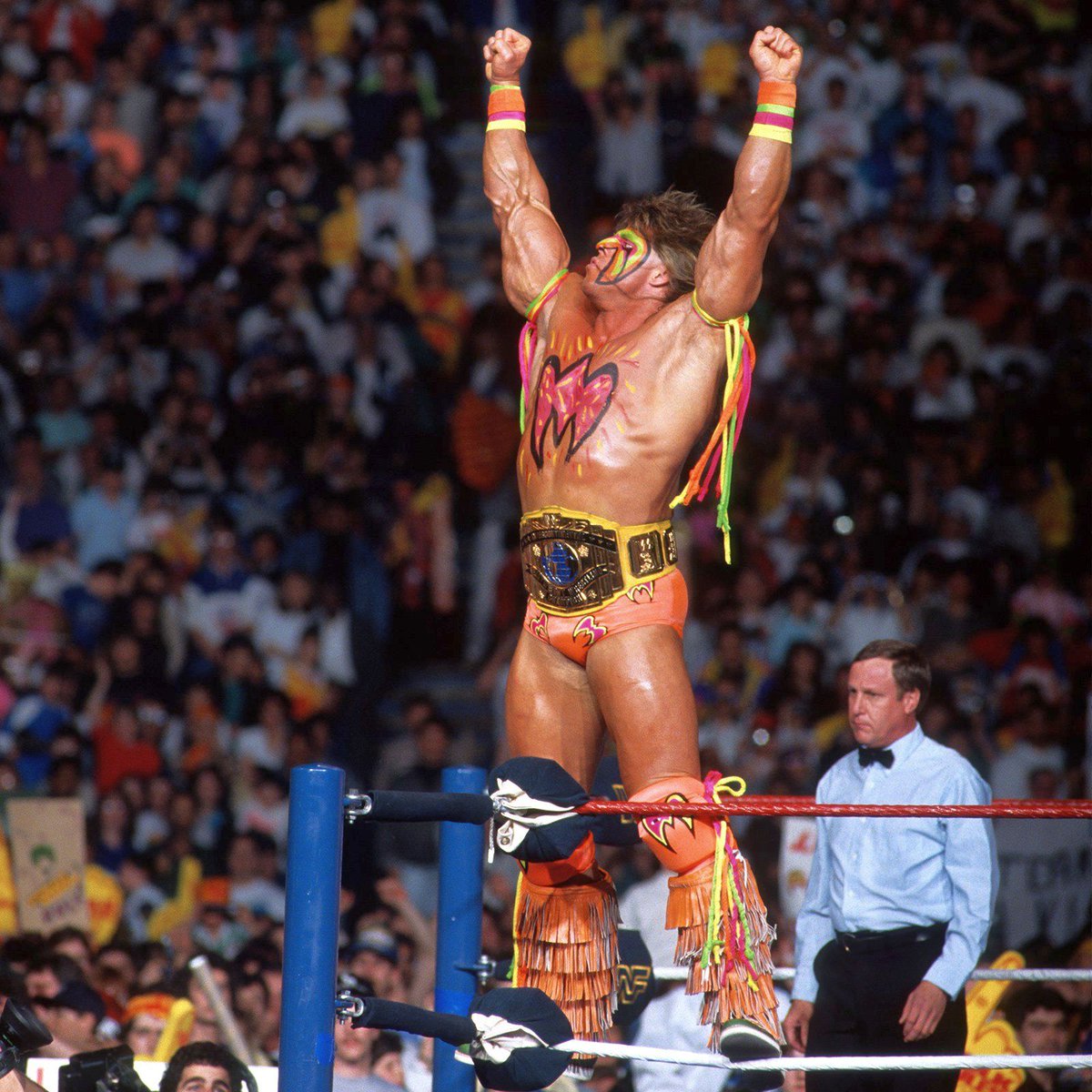 WWF Wrestling tweet media