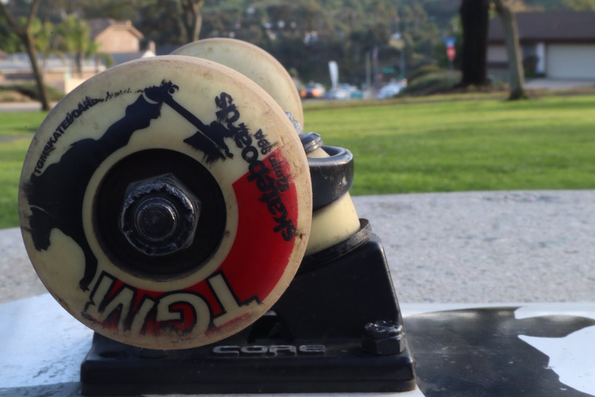 Osheawott tweet media