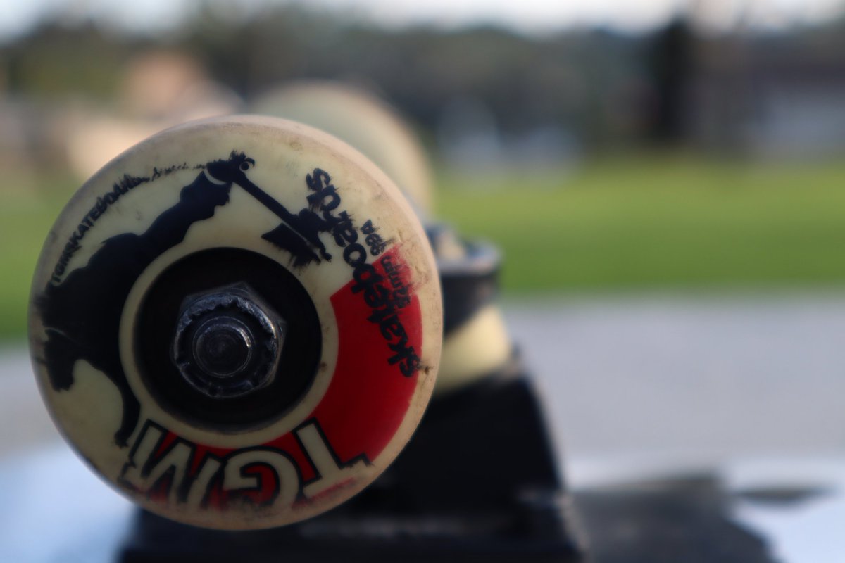 Osheawott tweet media