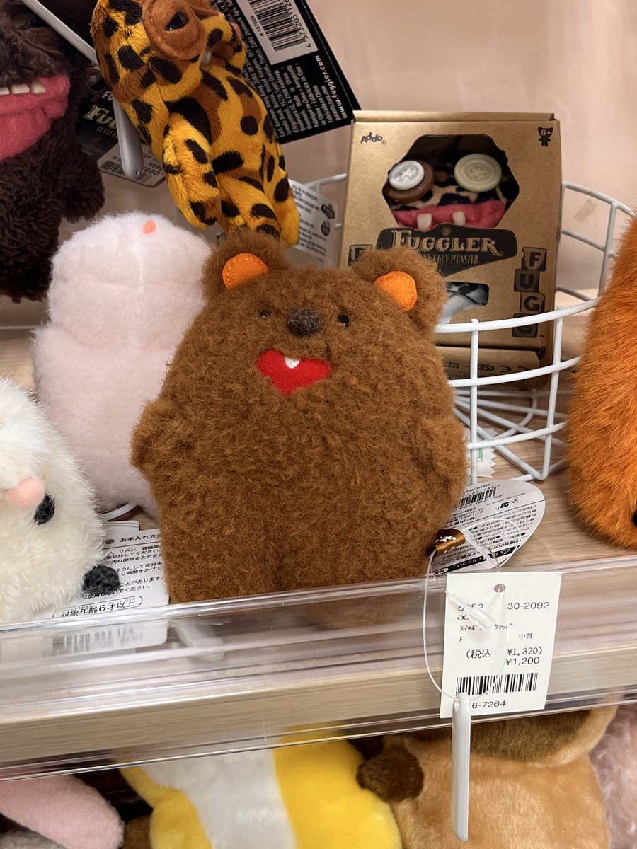 コーポ azappa tweet media