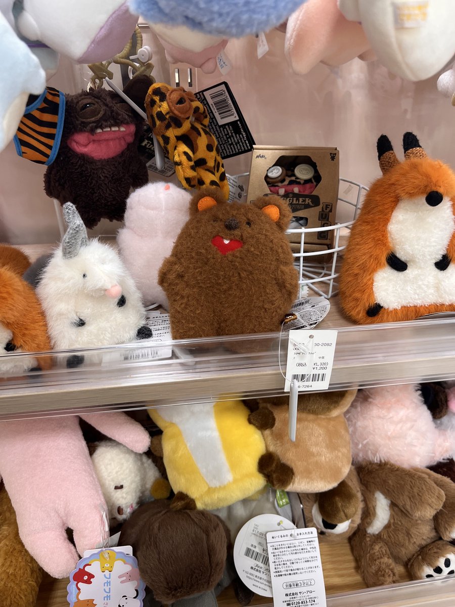 コーポ azappa tweet media