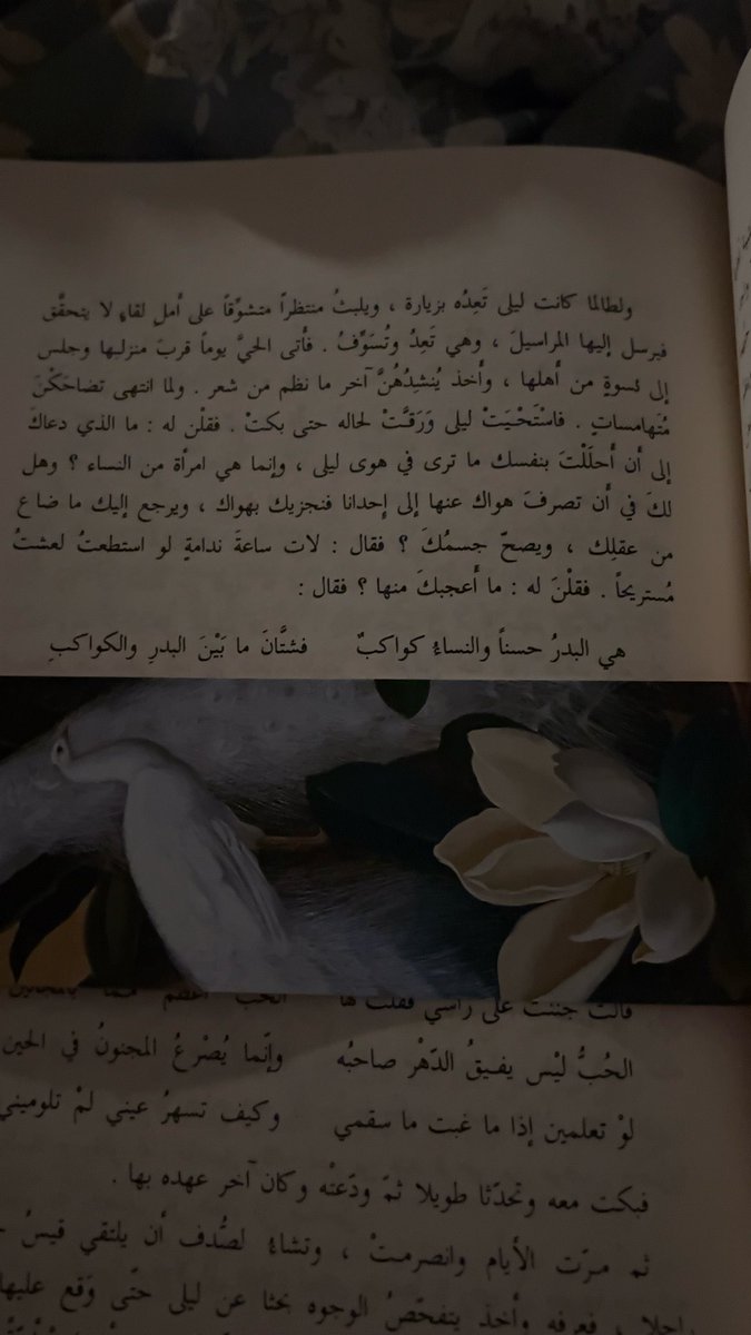 نُ tweet media