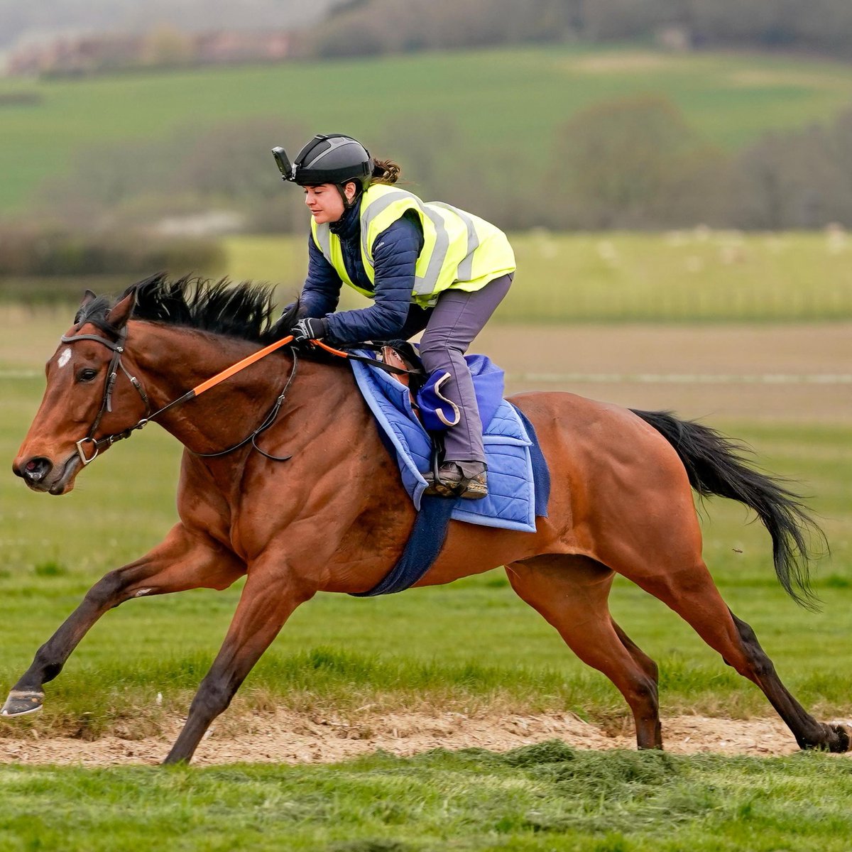 All For One Racing Syndicates tweet media