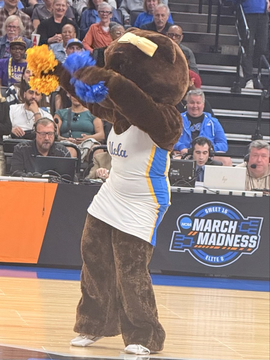 Jaime Coffee tweet media