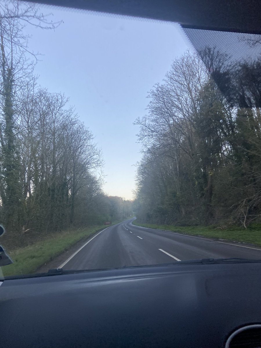 hannah ˖ . ݁𝜗𝜚. ݁₊ tweet media