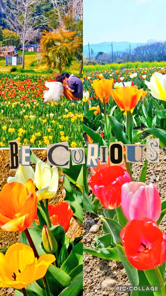 まっちん tweet media