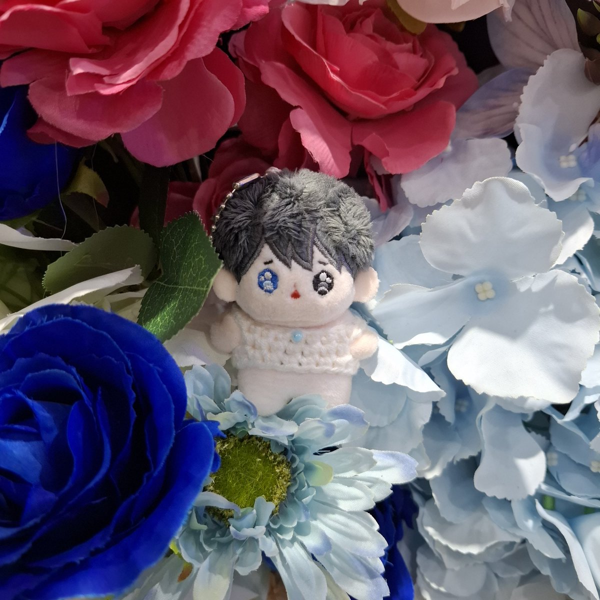 🐣콴🐥 tweet media