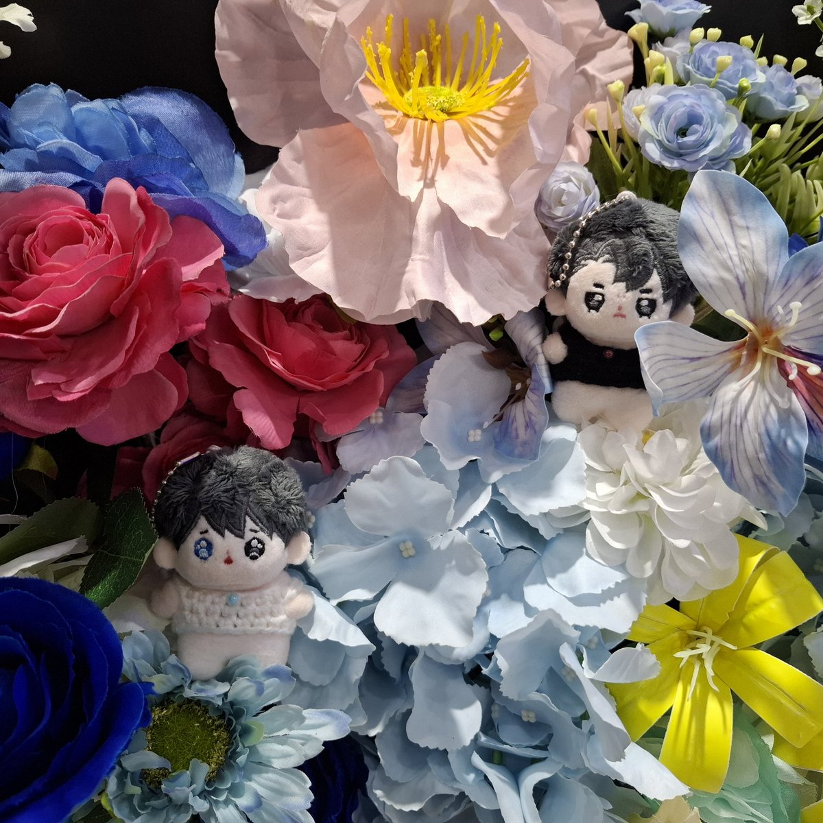 🐣콴🐥 tweet media