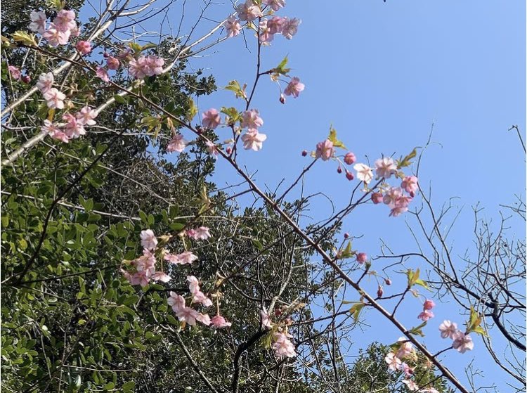 株式会社FALオフィス tweet media