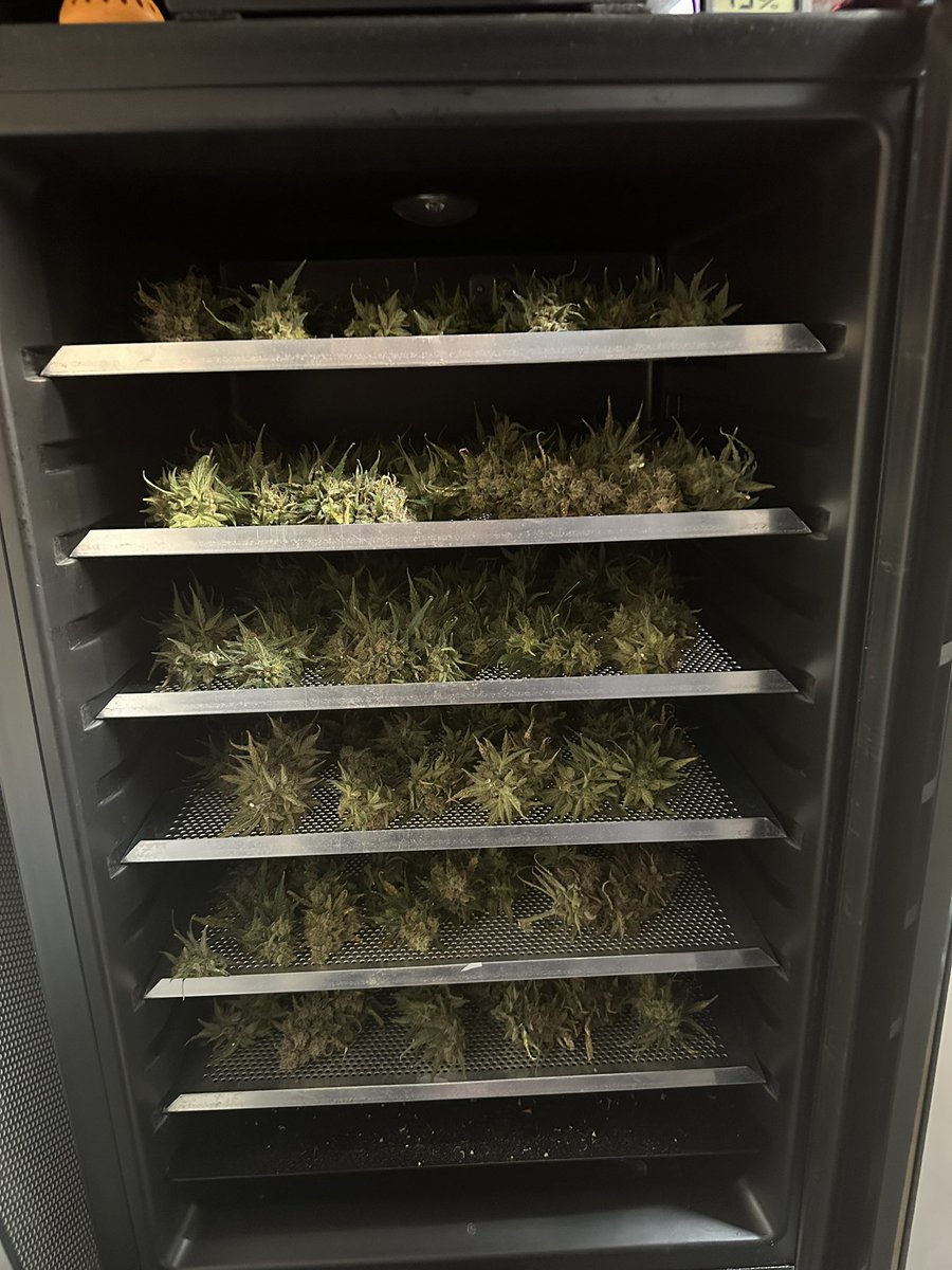 Justin🚀Time tweet media