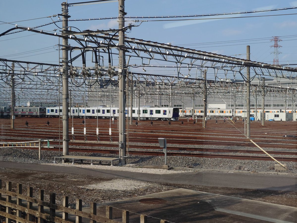 Aokashi (あおかし) tweet media