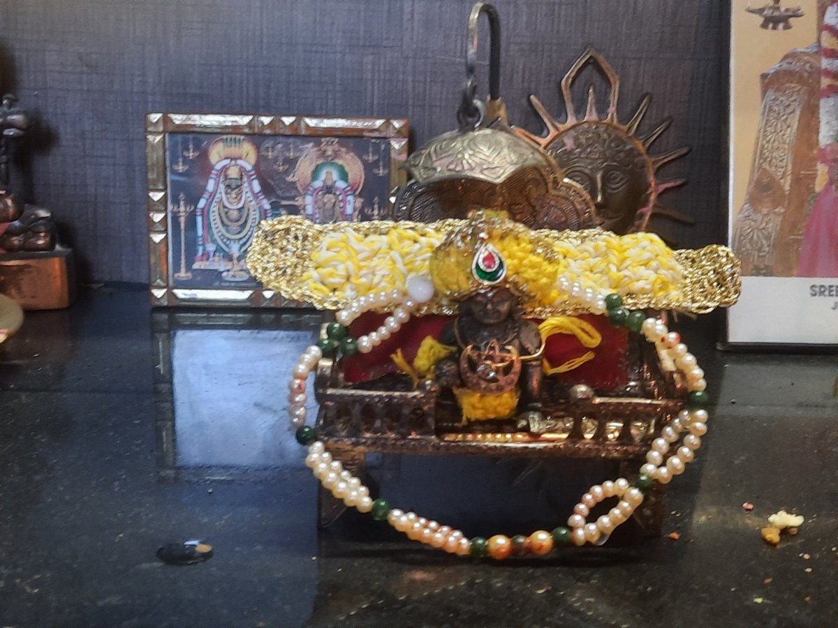 B ( Only Merit Not a Freeloader) tweet media