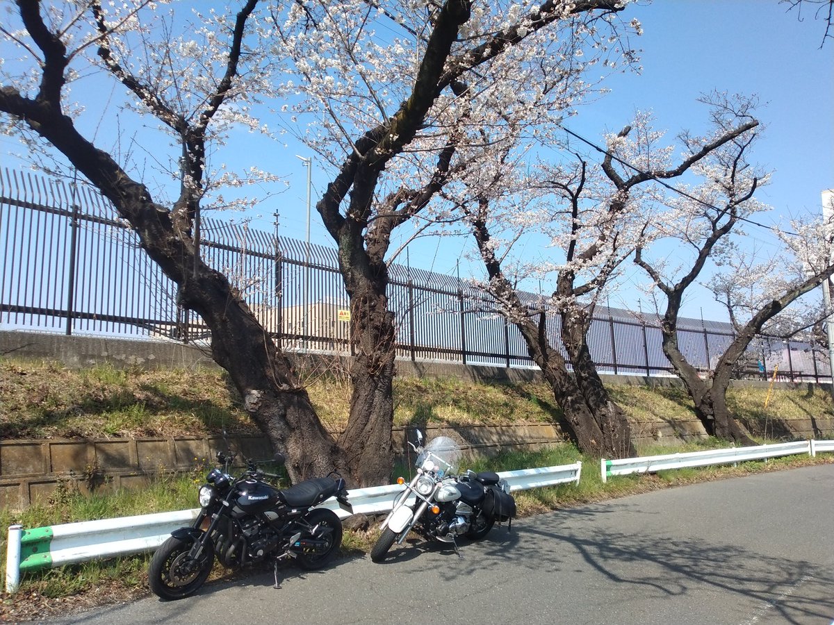 木内太郎 tweet media