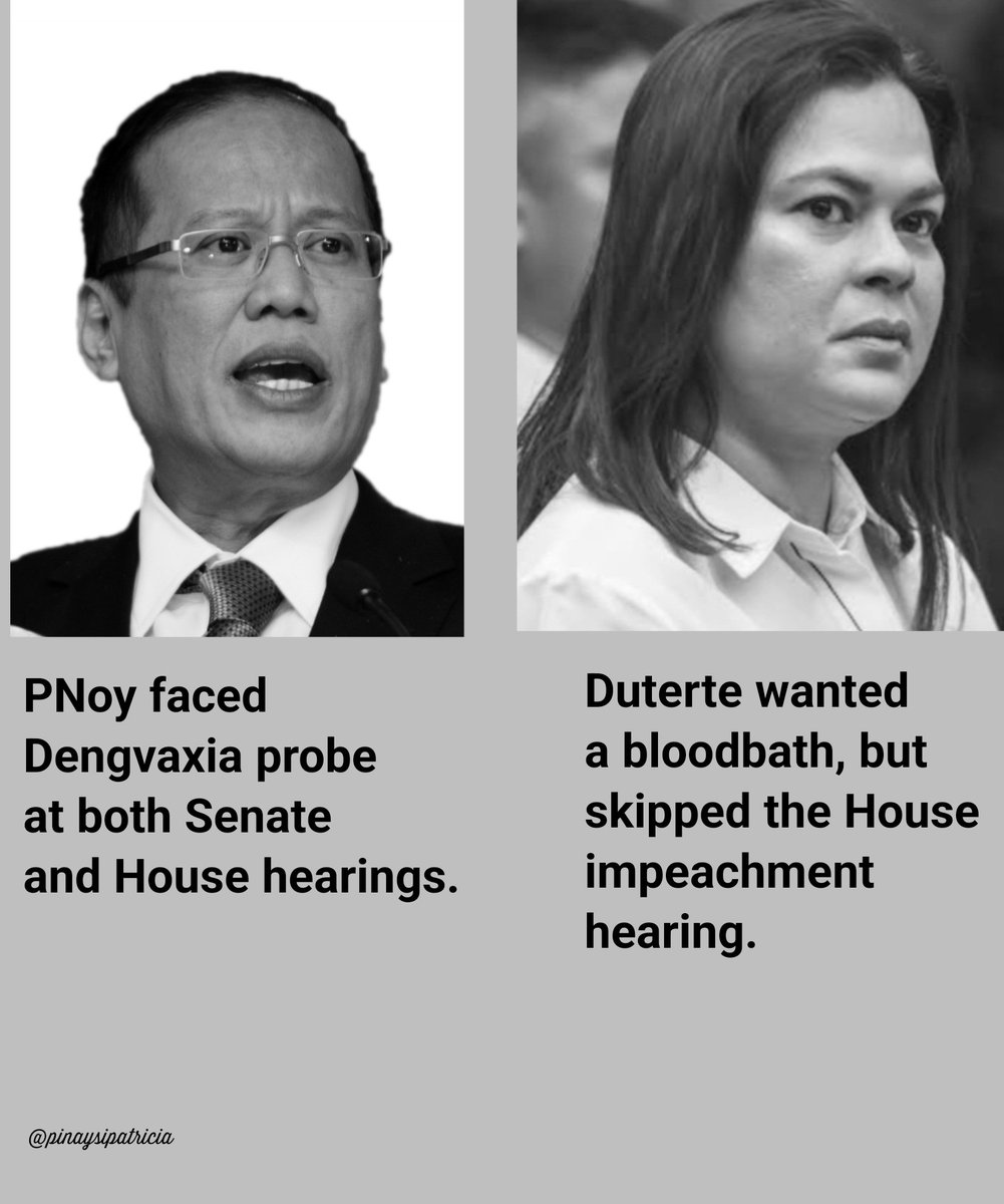 patricia🌿 tweet media