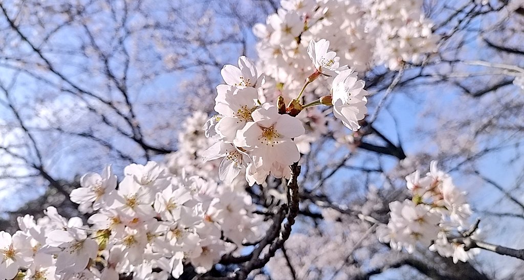 Sora🌾🐝 tweet media