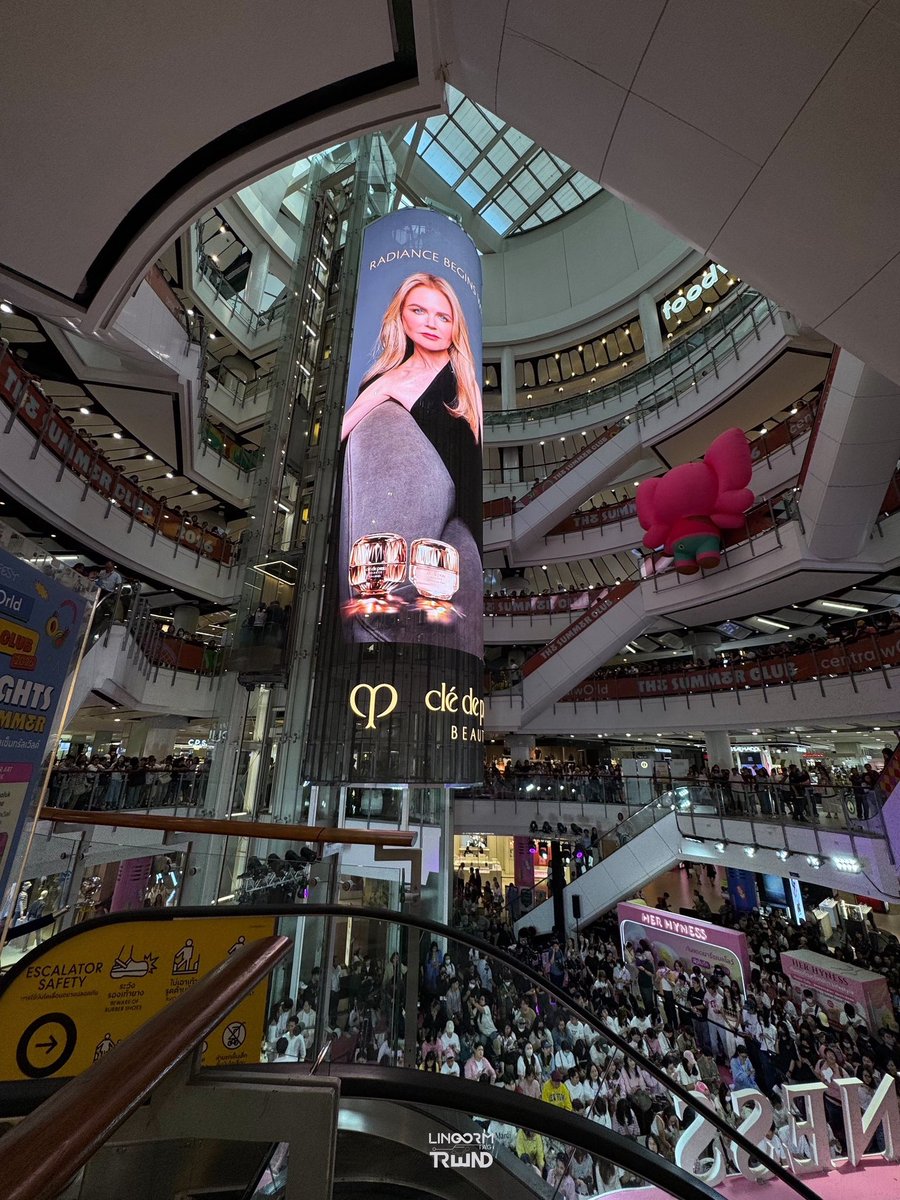 LingOrm_TagTrend 📈 tweet media