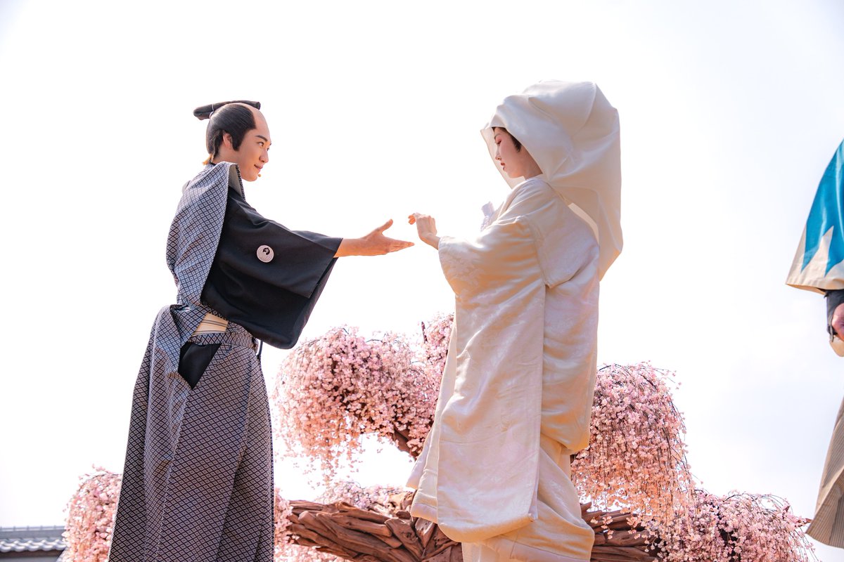 桜ねこ🧸🌸 tweet media