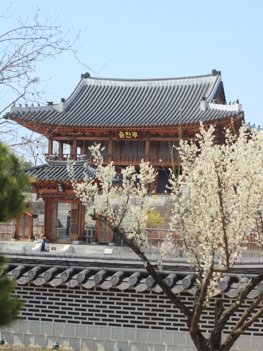 국립세종수목원 처돌이🕯 tweet media