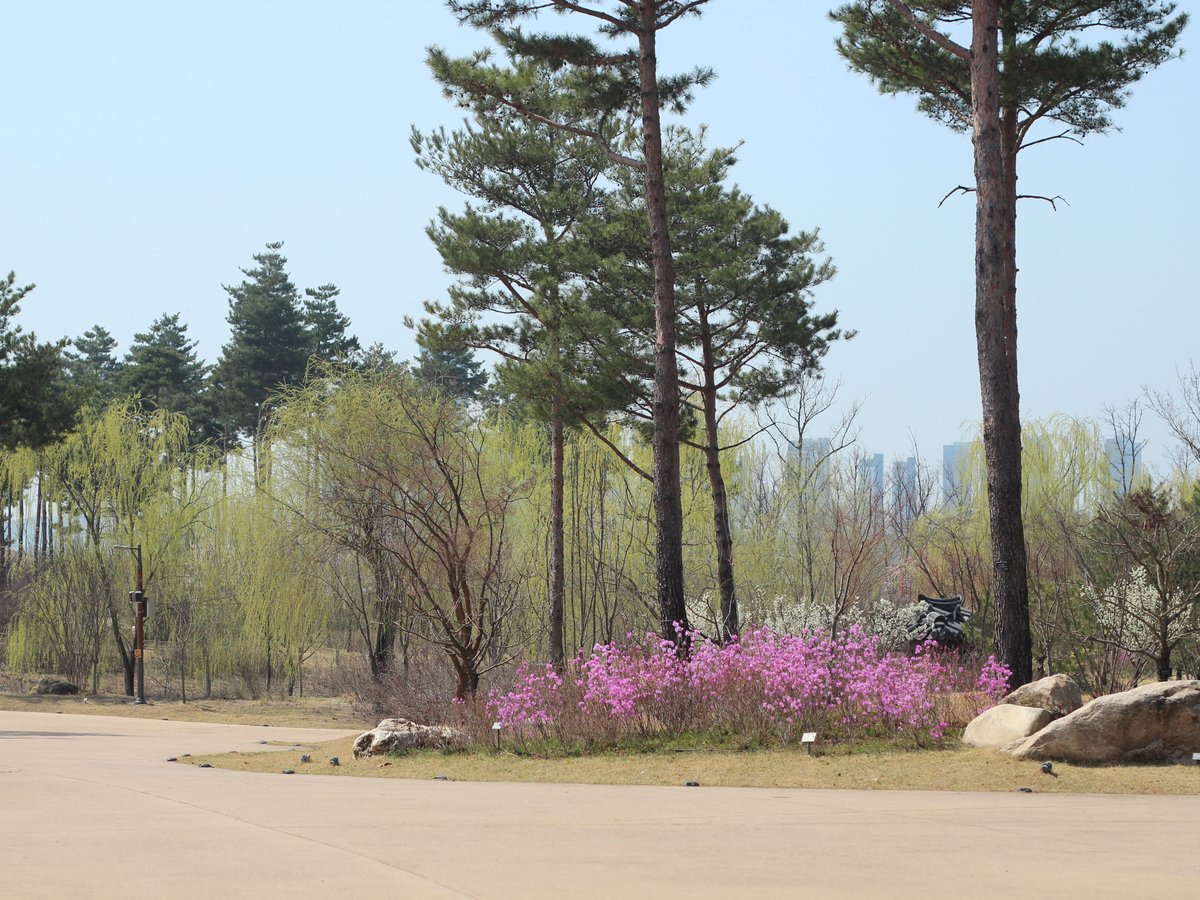 국립세종수목원 처돌이🕯 tweet media