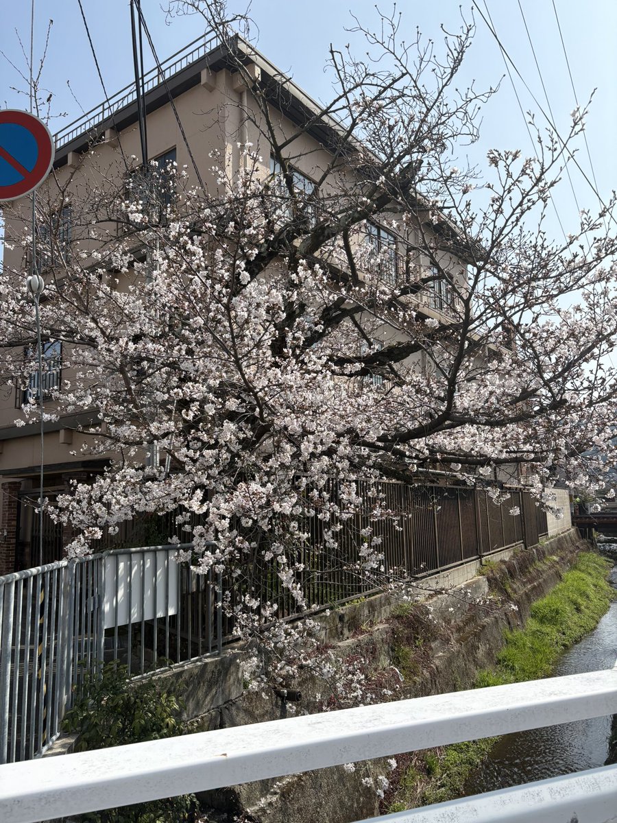 コスモスタジオ tweet media