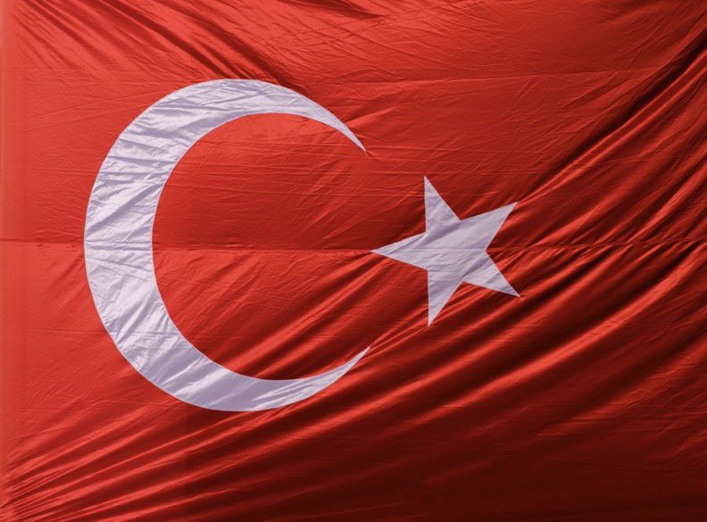 Gökçe Katun tweet media