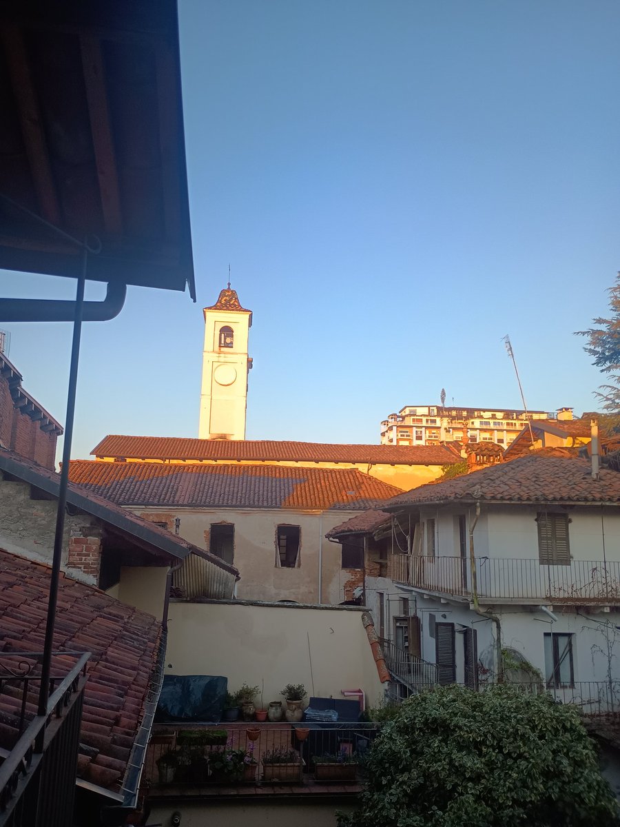 LaMicky ®🐺♊🍉 tweet media