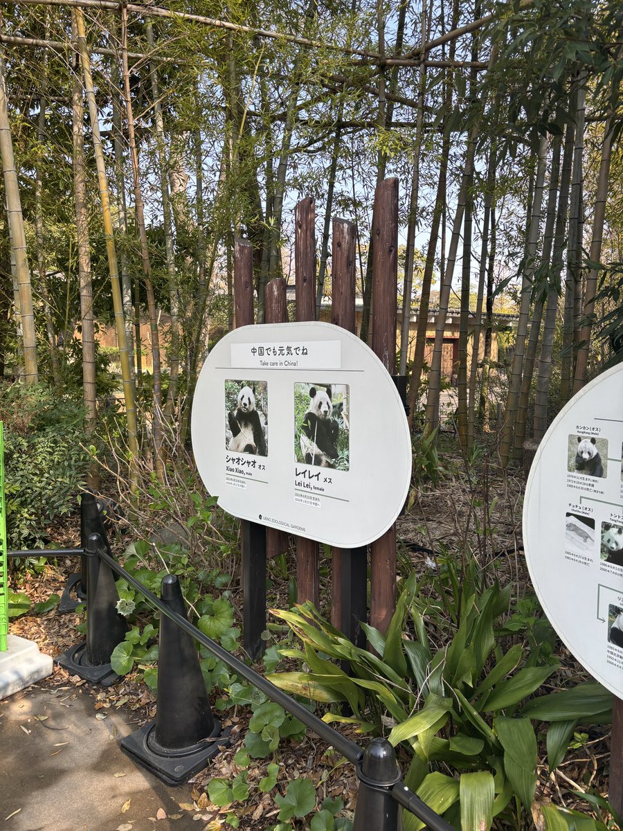 ほうれん tweet media