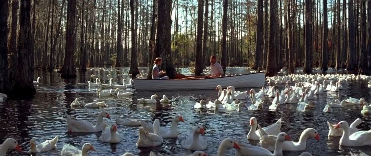 🎞️📷81 tweet media