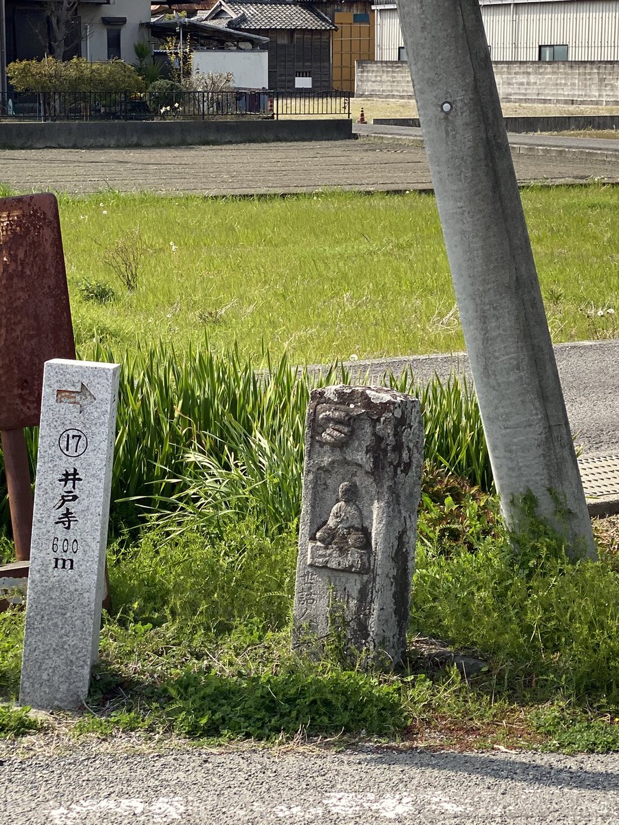 ルーク46【還＋6】 tweet media