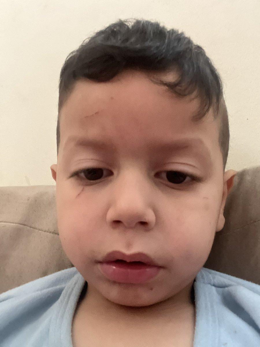 hala from Gaza 🇵🇸🍉 tweet media