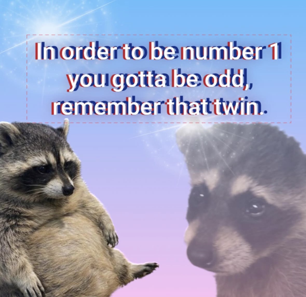 raccoon aesthetic. tweet media