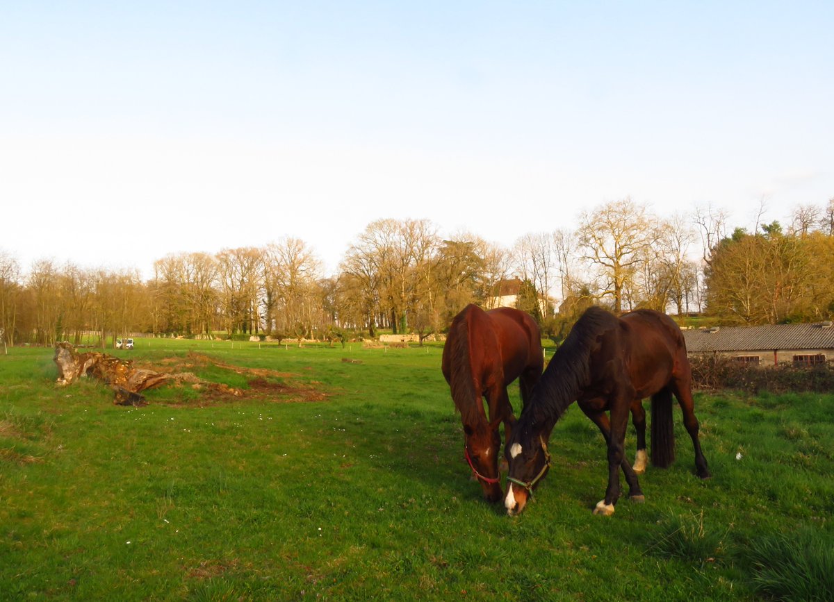 PlanPlan-Bilou tweet media