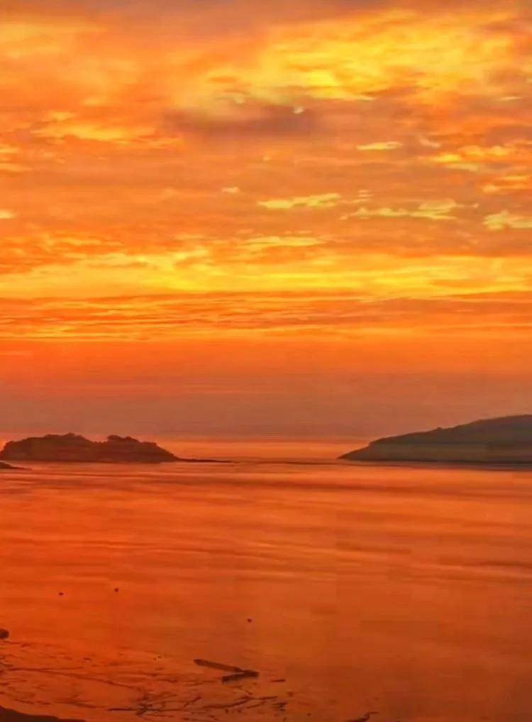 Manuel Abarca tweet media