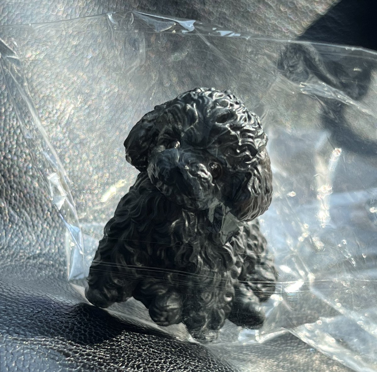 きゃな tweet media