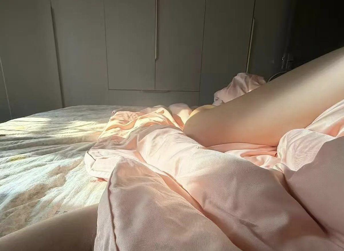 小猫抱 tweet media